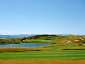 Tributary 11th Fescue